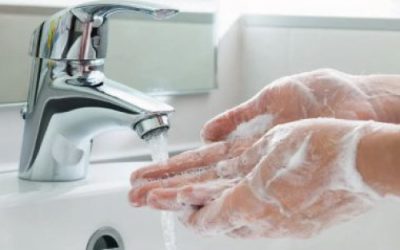 Hygiene en rauw voer